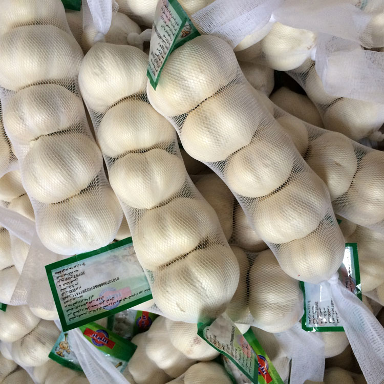 Supply garlic 200g
