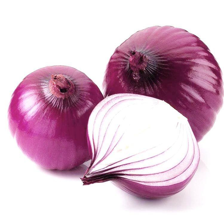 Supply red onion to Malaysia