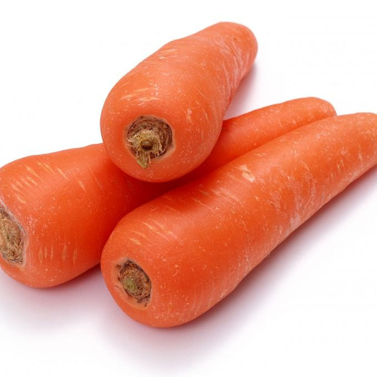 Supply Fresh carrot